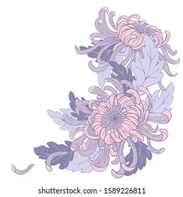 Chrysanthemum flowers and leaves, composition for design, vector illustration