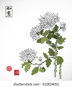 Chrysanthemum flowers in oriental style on white background. Contains hieroglyph - beauty, dreams come true