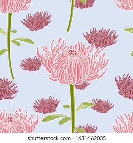 Chrysanthemum flowers seamless vector pattern