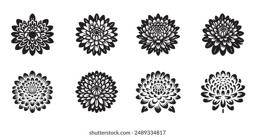 crisantemo, conjunto de flores. Conjunto de iconos. Era un Paquete de plantas ornamentales con flores. Ilustración botánica para una etiqueta, floristería, App móvil, diseño. Estilo lineal, trazo editable