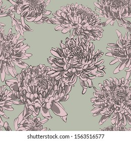 Chrysanthemum flowers. Vector image of autumn flowers. Hand-drawn illustration.
Print for textiles.
Seamless pattern.
