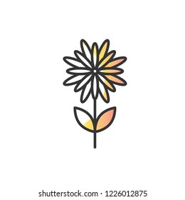 chrysanthemum icon vector design