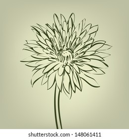 chrysanthemum mottled