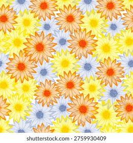 Chrysanthemum pretty vector repeat pattern. Camomile daisy blossom with transparent petals. Decorative garden flowers scrapbooking swatch. Adorable natural ornament.