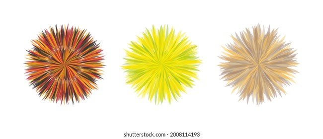 Chrysanthemum rainbow flower vector illustration. Flowers with multicolored petals. Created using AI CS6.