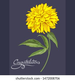 Chrysanthemum and rudbeckia on the grey background. Realistic drawing of herbs. Decorative greeting card, Wallpaper, textiles, paper, dresses, holidays: Birthday, wedding, summer discount, sale