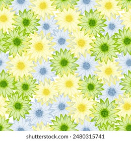 Chrysanthemen rustikale Sommer nahtlose Muster. Osteospermum-Blüte mit transparenten Blütenblättern. Dekorative Gartenblumen Scrapbooking Swatch. Girlie Blumenhintergrund.