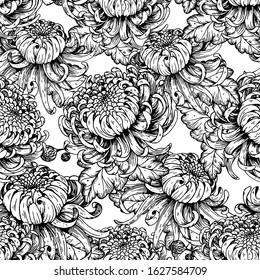 Chrysanthemum seamless pattern. Black and white color background. Vector illustration. Hand drawn flowers. Monochrome chrysanthemum design.