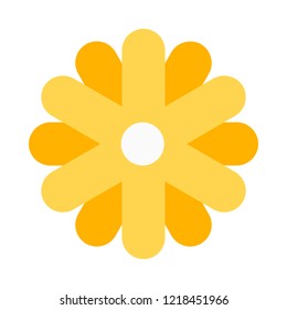 Chrysanthemum spring flower