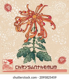 Chrysanthemum. Title written in japanese style font. Vector illustration of chrysanthemum flower in the style of chinese and japanese prints with asian floral symbolic background and decorations. 