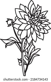 Chrysanthemum Vector, Clip Art, Black and White
