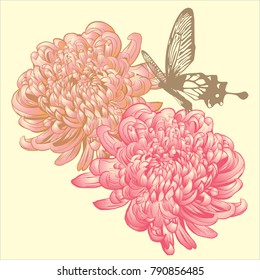 
chrysanthemum vector, flower sketch, line drawing with butterfly