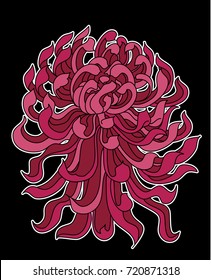 Chrysanthemum vector illustration for tattoo style.Traditional Japanese culture for printing and coloring book on background.