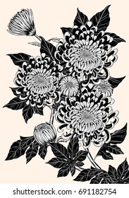 Chrysanthemum vector on brown background.Chrysanthemum vintage by hand drawing.Floral tattoo highly detailed in line art style.Flower tattoo black and white concept.