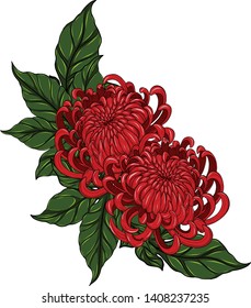 Chrysanthemum vector tattoo by hand drawing.Beautiful flower on white background.Red flower graphics design art highly detailed in line art style.