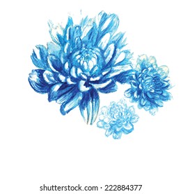 chrysanthemum vector watercolor background