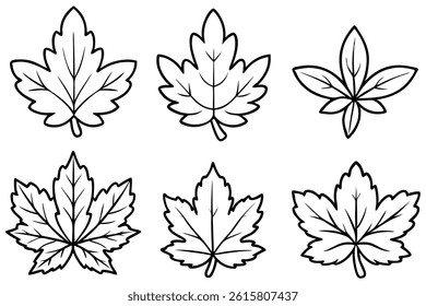 Chrysanthemum-leaf line art illustration for elegant design