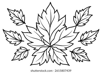 Chrysanthemum-leaf line art illustration for elegant design