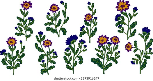 Chrysanthemums, asters flowers with leaves. Vector grainy set of texture elements, cartoon style, doodle, grunge texture, colored pencil, old paint, crayon, pastel, crayon. Vector collection.