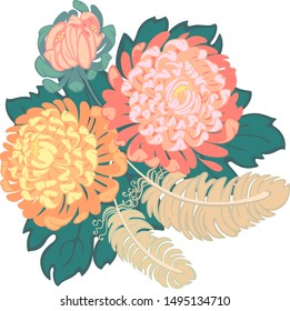 Chrysanthemums. Bouquet of chrysanthemums and feathers. Vector graphics