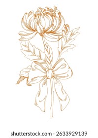 Chrysanthemums with a bow. Handmade ink illustration. For packaging design, cards, cover, prints, product labels and fabric.