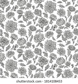 Chrysanthemums flowers
and leaves pattern. Graphic hand drawn engraving style. Botanical illustration for packaging, menu cards, posters, prints.	
