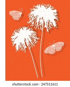 chrysanthemums on orange