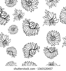 Chrysanthemums. Seamless pattern. Vector illustration.
