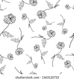 Chrysanthemums. Seamless pattern. Vector illustration.