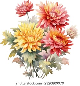 Chrysanthemums Watercolor ilustración. Diseño de elementos submarinos dibujados a mano. Elemento de diseño marino vectorial artístico. Ilustración para tarjetas de felicitación, impresión y otros proyectos de diseño.