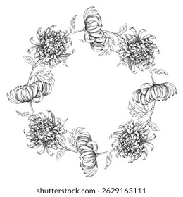 Chrysanthemums. Wreath of vector ink styled flowers. For packaging design, cards, cover, prints, product labels and fabric.