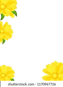 Chrysanthemums yellow background