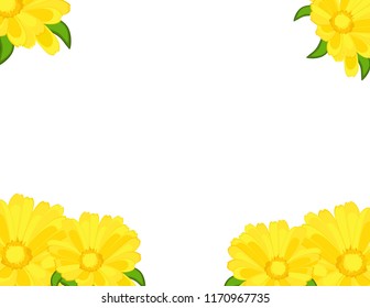 Chrysanthemums yellow background