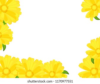 Chrysanthemums yellow frame