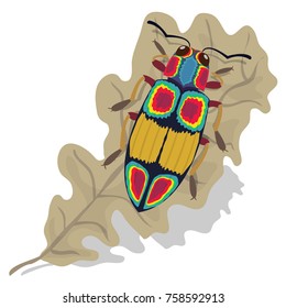 Chrysochroa fulgens beetle vector illustration. Jewel Beetle. Colorful beetle on leaf. Beautiful insect vector. 
