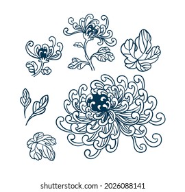 chrythantemum japanese chinese vector flower design