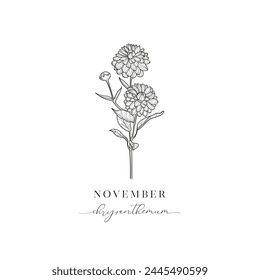 Chrythantemum, November Birth Flower. Hand drawn birth flowers, Vector Graphics.
Floral Decorative Design Element.
Birth Month, Mother’s Day, Birth Announcement, Baby Gift, T-shirt design, Print.