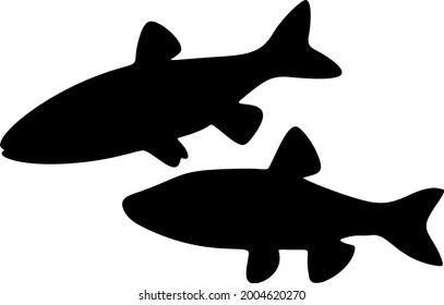 Chub fish swims in the set. Vector image.