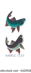 chub fishing