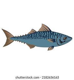 chub makerel logo, great for fishing logo, food industry and apparel parts.