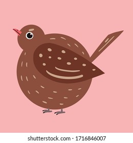 Chubby bird. Color vector illustration in the flat style.