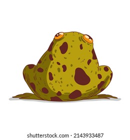 A chubby frog  isolated vector illustration  A back view calm cartoon bullfrog against white background  Children's book character  Kind toad illustration  Cute sitting frog