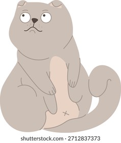 Mollig graue Katze sitzend mit einem lustigen Ausdruck. Ideal für humorvolle Tierillustrationen und Charakterdesigns.
