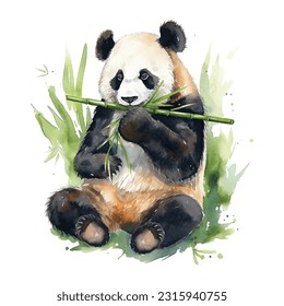 Chubby Panda Comer Bamboo Paint Watercolor