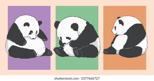 Chubby Sitting Panda Illustrations , Cute Cartoon Set