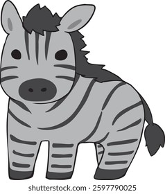 The chubby zebra at the zoo.