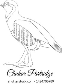 Chukar partridge coloring vector. Outline image - Shutterstock ID 1424706989