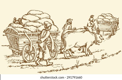 Chumak is historic occupation on Ukraine as merchants or traders, and big cartload laden with sacks of salt. Vector freehand ink drawn background sketch in art doodle antiquity style pen on paper