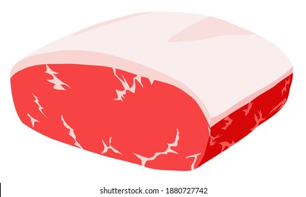 Chunk of raw beef against white background