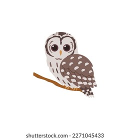 Church-owl or barn-owl bird from owls family flat vector illustration isolated on white background. Owl with variegated plumage, male bird sitting on tree branch.